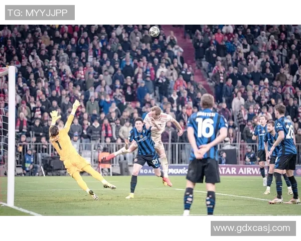 欧冠激战：巴萨完胜拜仁神扑时刻引发全场狂欢战术解析