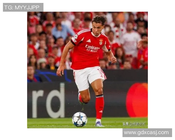 德甲精彩对决国米逆转本菲卡神扑瞬间点燃全场激情